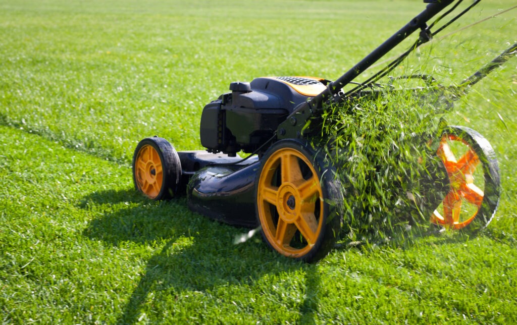 Mulch mowing the lawn