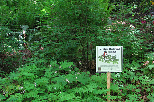 A sign from the Backyard Habitat Certification program
