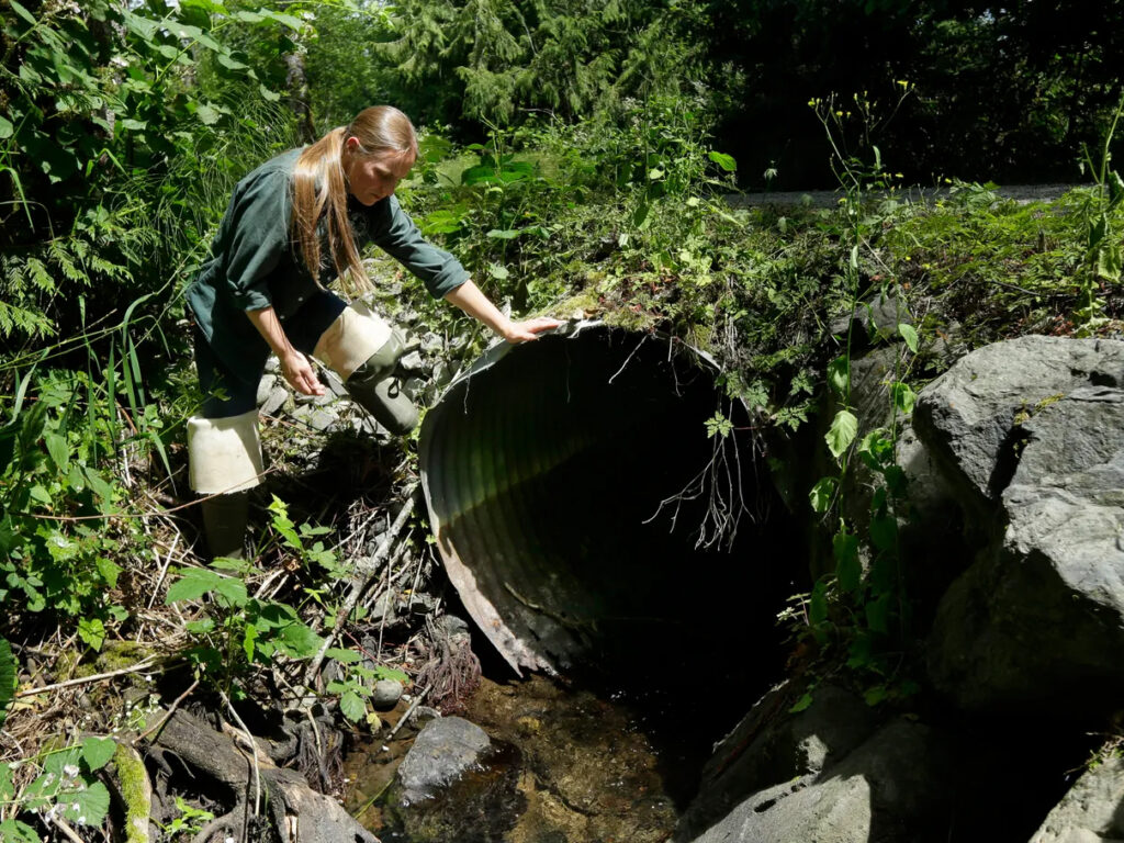 Follow-the-Water-Culverts
