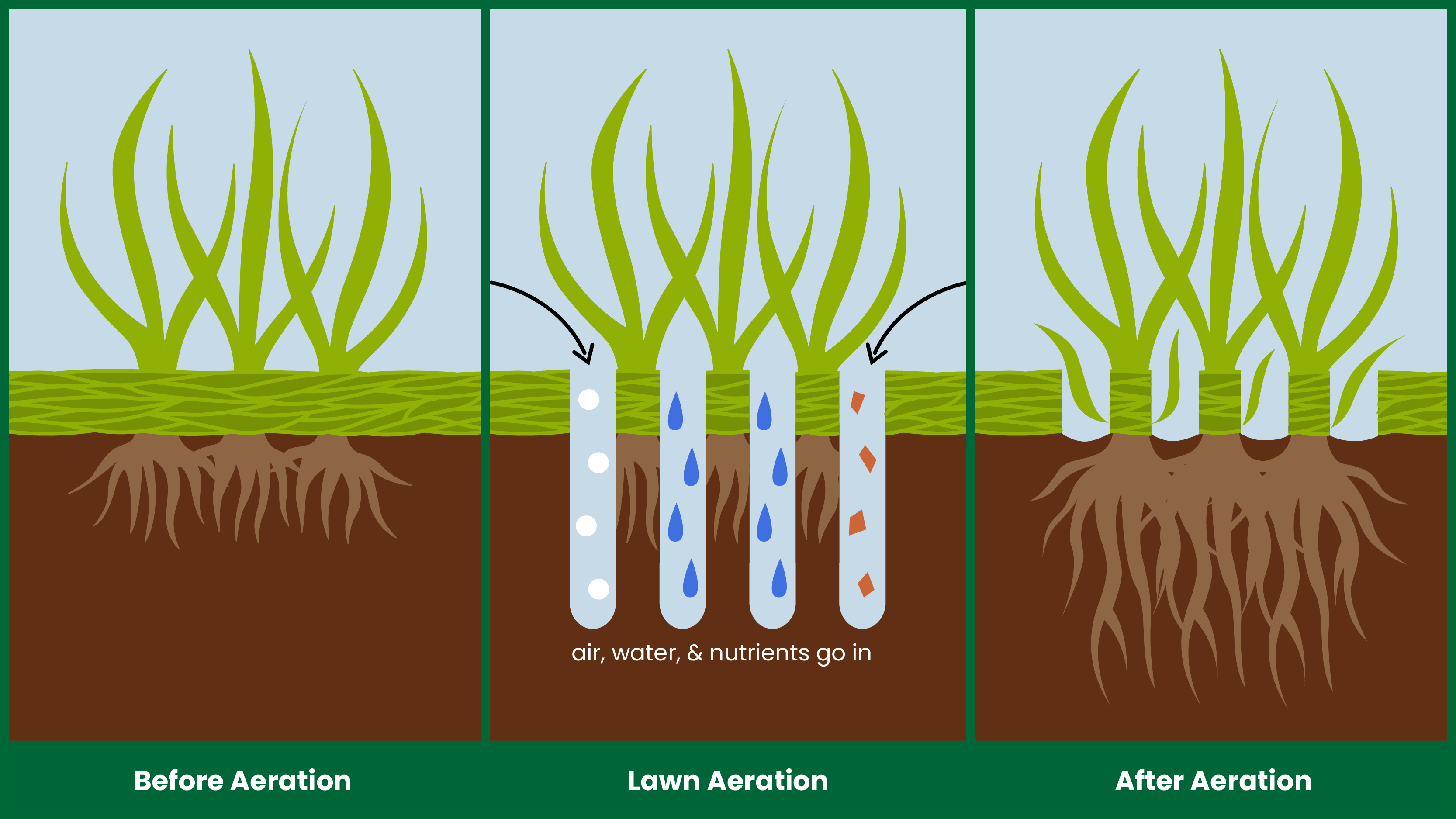 Consider aerating every 2-3 years.