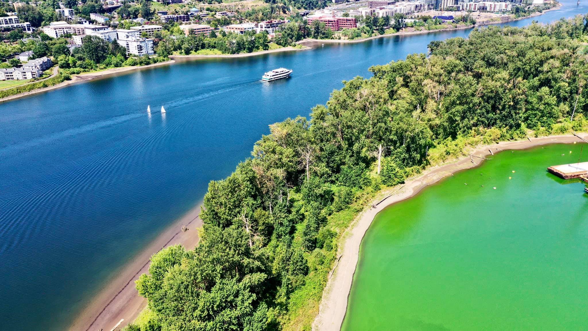 Avoid fertilizing during summer, it’s too hot for your grass to take up nutrients and poses serious risk for water health.