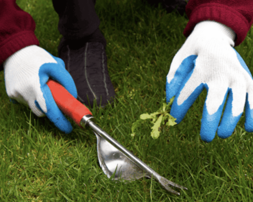 Stainless Steel Hand Weed Puller