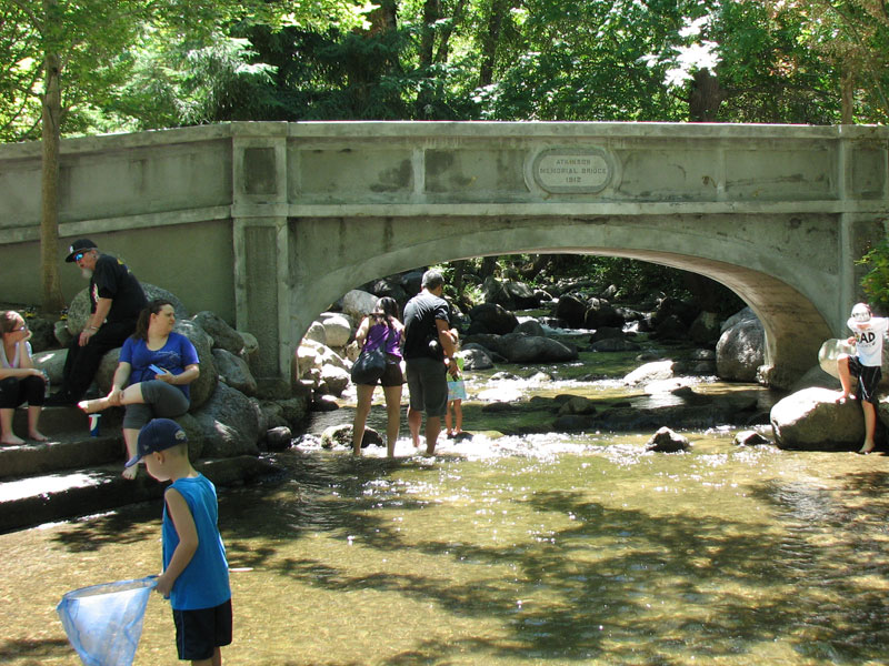 Visitors wade into Ashland Creek