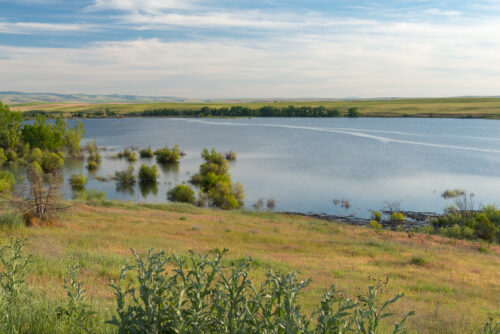 Umatilla McKay Creek