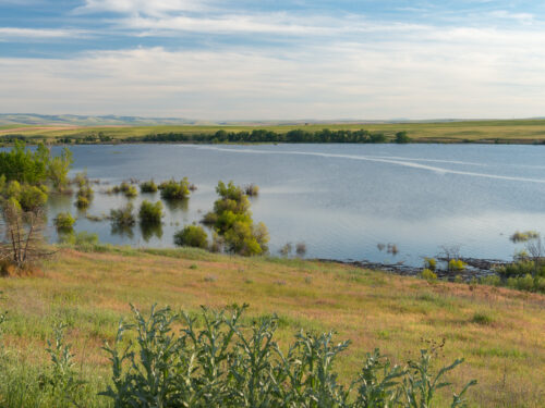 Umatilla McKay Creek