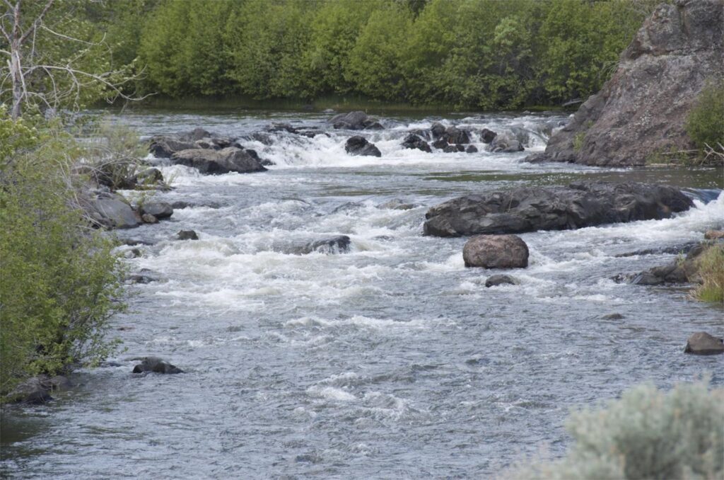 Rapids on the Chewaucan River. Photo by Rob Davis