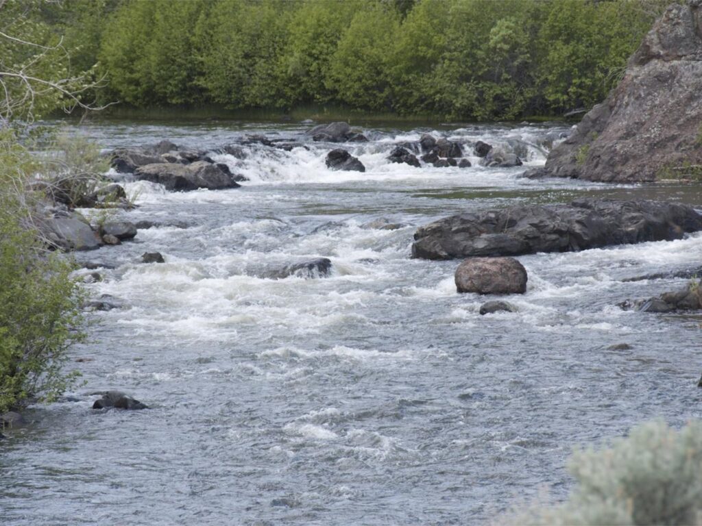 Rapids on the Chewaucan River. Photo by Rob Davis