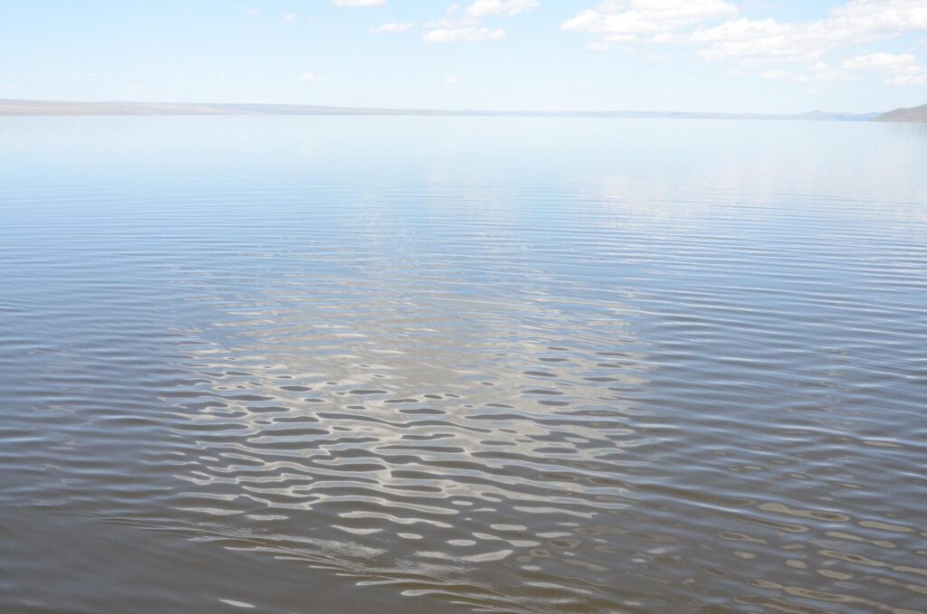 Close up of Lake Abert