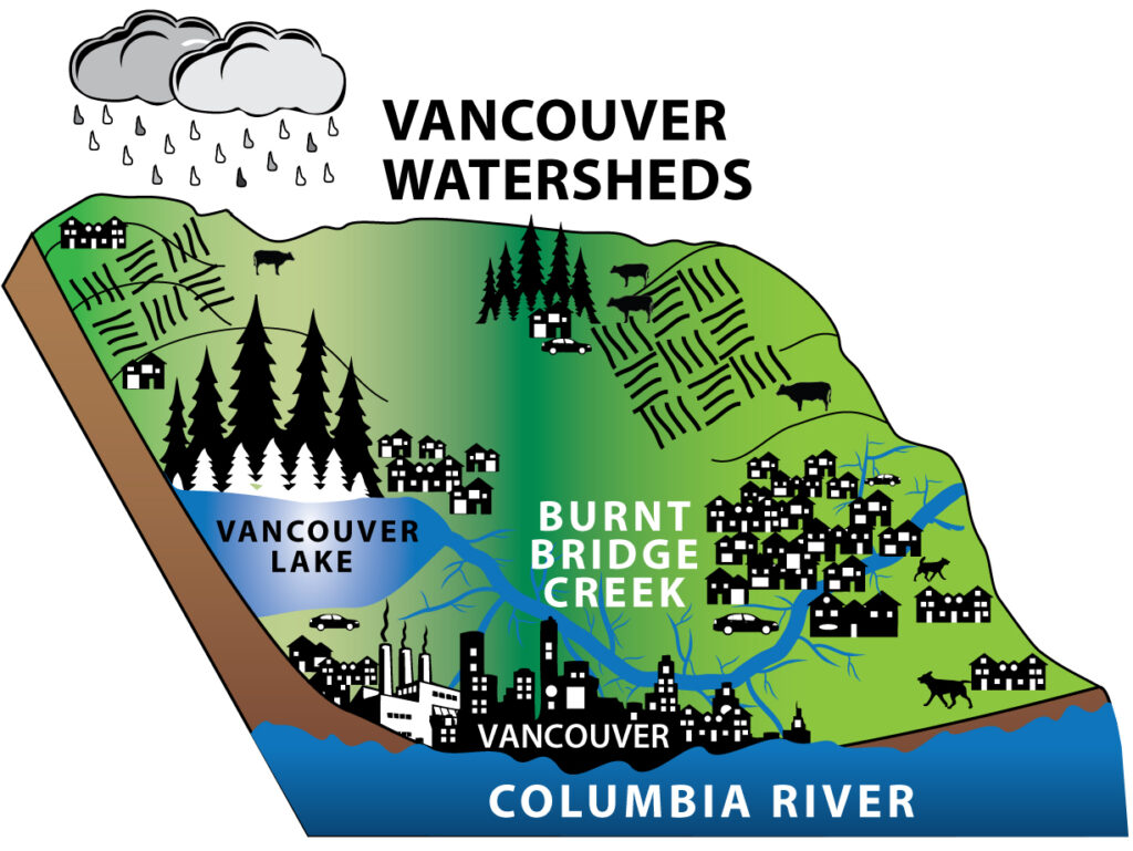 Vancouver Watersheds graphic showing Vancouver Lake, Burnt Bridge Creek, and the Columbia River.