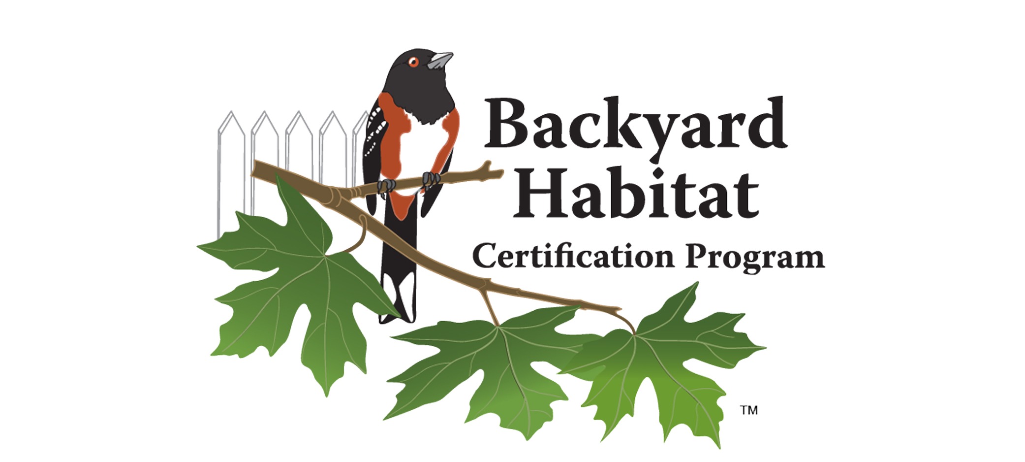 Follow-the-Water-Beyond-the-Lawn-partners-Backyard-Habitat