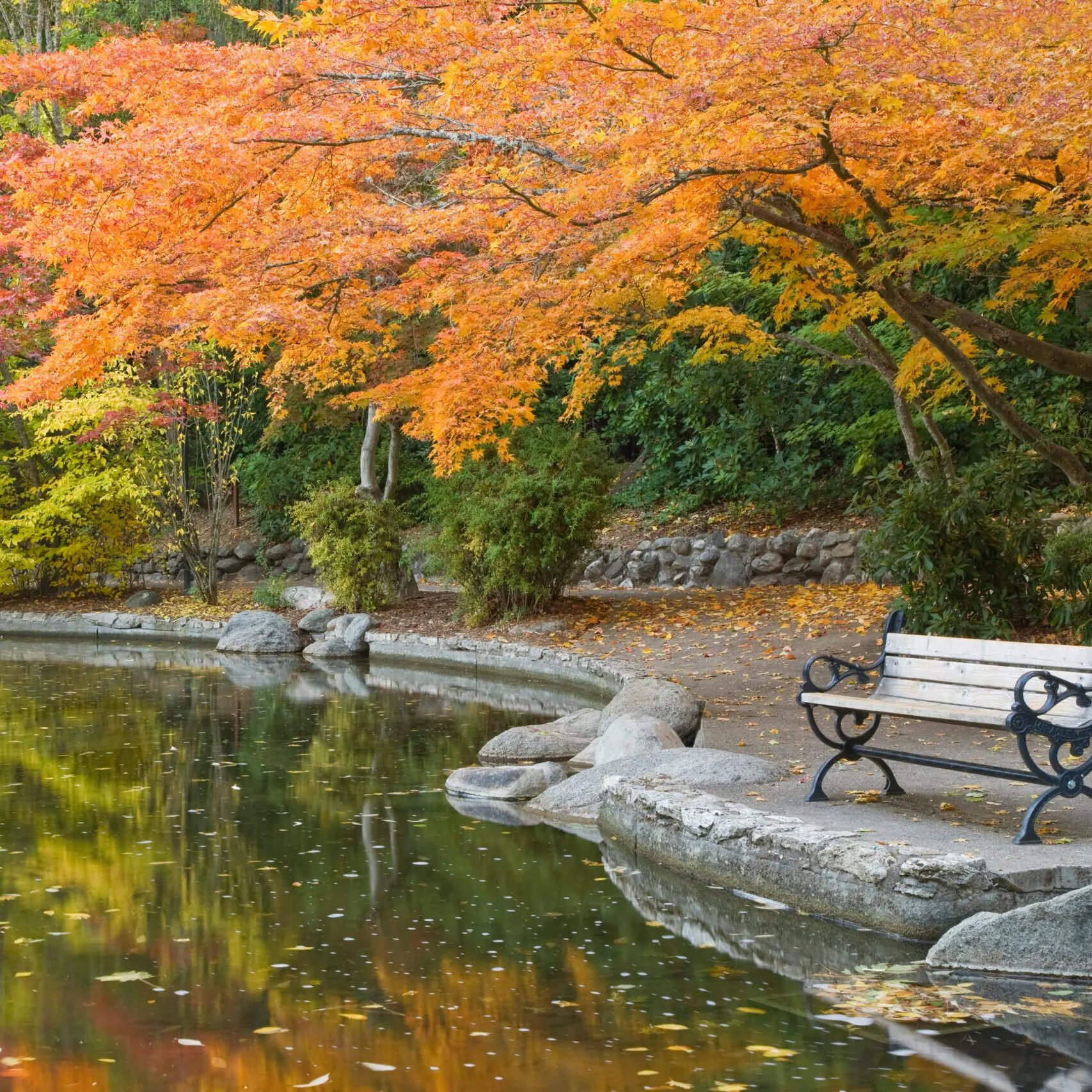 Follow-the-Water-Lithia-Park