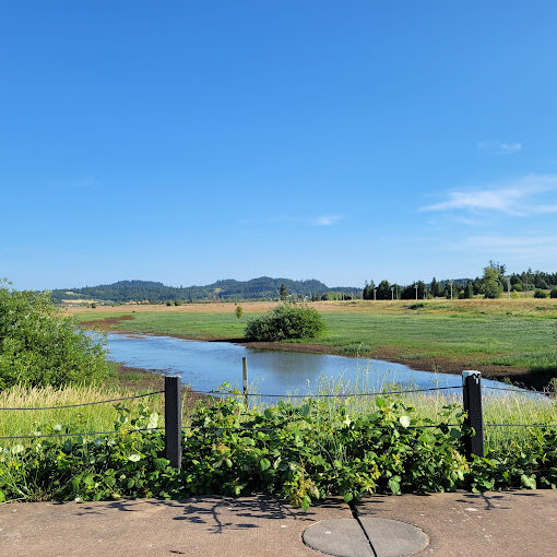 Follow-the-Water-Meadows-Praire-Amazon-Creek